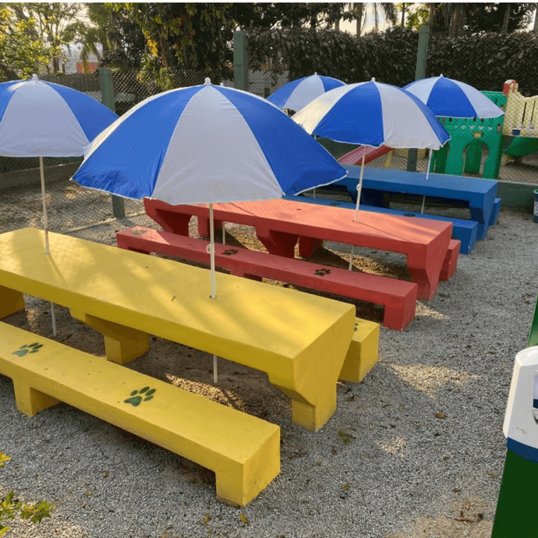 Escola particular infantil Arco-íris evolução (7)