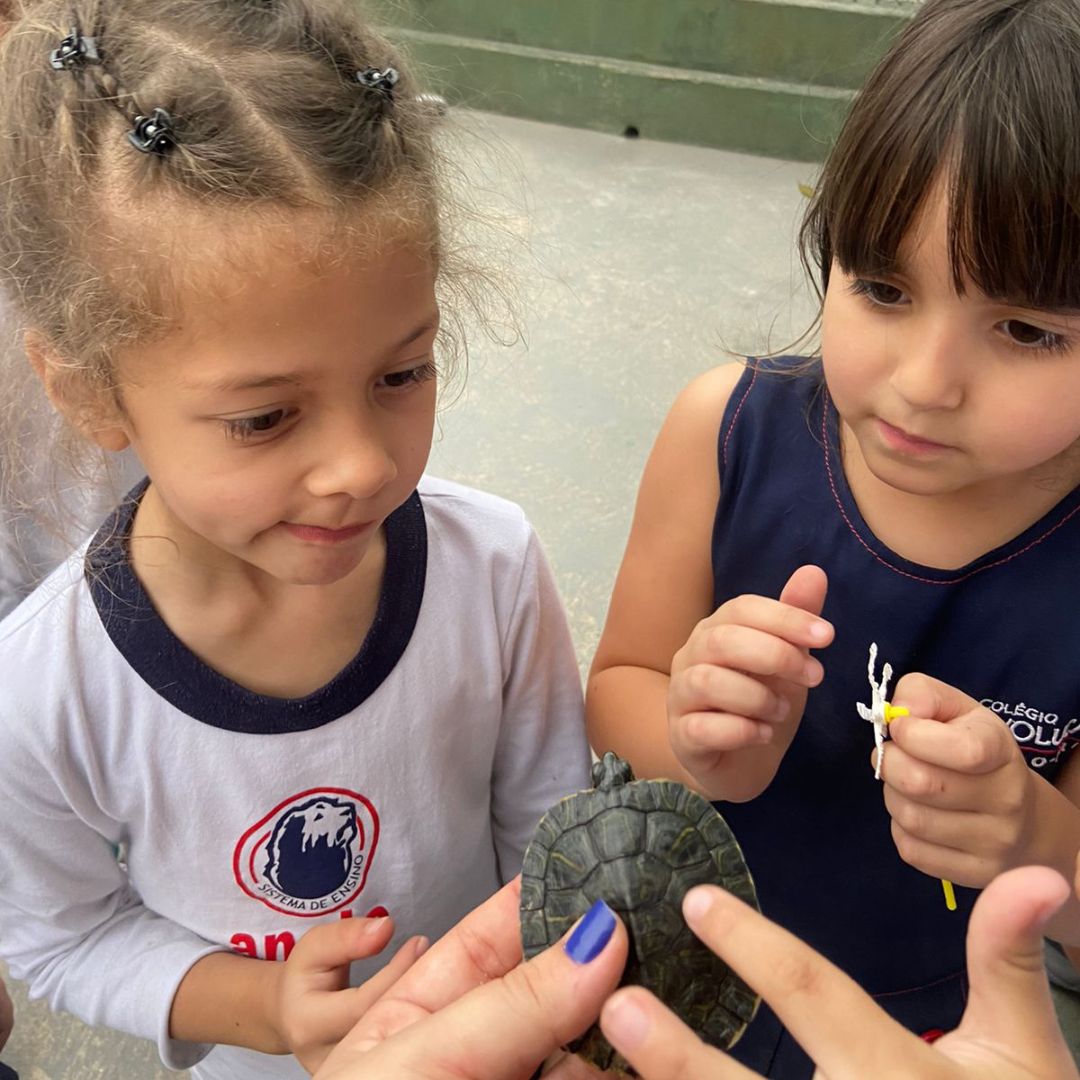 Infraestrutura escolar espaços pedagógicos escola infantil (2)